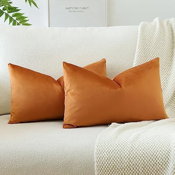 Eryueer Set of 2 Velvet Soft Solid Cushion Covers 30x50 cm Decorative Throw Pillow Covers Soft Lumbar Cushion Case Couch Home Decor Throw Pillow Cases for Sofa Bedroom 12x20 Inch (Orange)