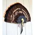thumbnail image 2 of Do All Outdoors Iron Turkey Mount Holds Spurs and Beards, 2 of 3