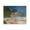 Misty Coastal Dawn Landscape, variant on Stupell Industries Windblown Meadow Blooms Black Framed Floater Canvas Wall Art, design by Lee Ann Zirbes