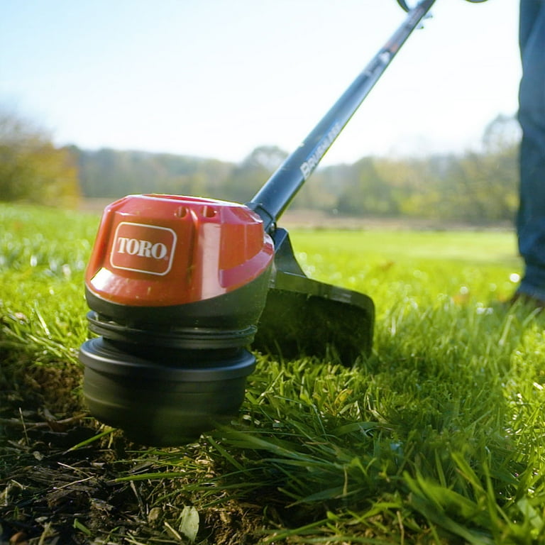Flexforce Flex The Flavor グラデ Toro Electric Flex Force 60V Lithium-Ion Brushless Cordless