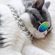 thumbnail image 4 of Collar de gato a la moda accesorio para mascotas collar para perros joyería para cachorros para Pitbull Bulldog Hugtrwg Para estrenar, 4 of 8