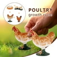 thumbnail image 1 of 4 Piece Insect Figure Animal Life Cycle Plastic Brood To Mature Period, 1 of 6