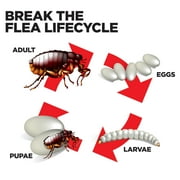 Enforcer 2-Pack Flea Fogger, Kills Fleas, Ticks, and Other Pests