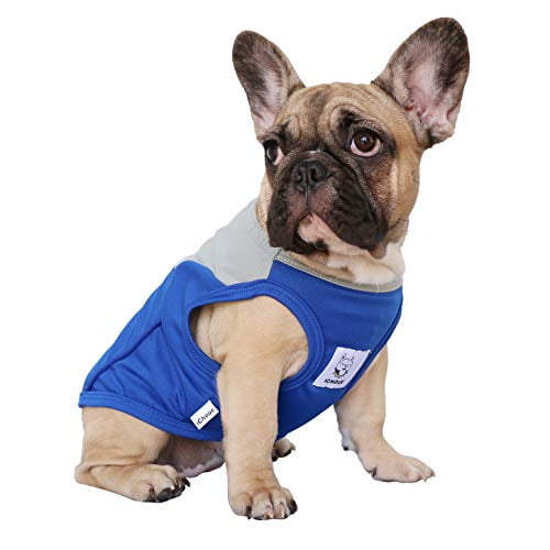 ichoue dog clothes