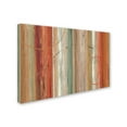 thumbnail image 2 of Trademark Fine Art "Spiced II" Canvas Art by Lisa Audit, 2 of 3