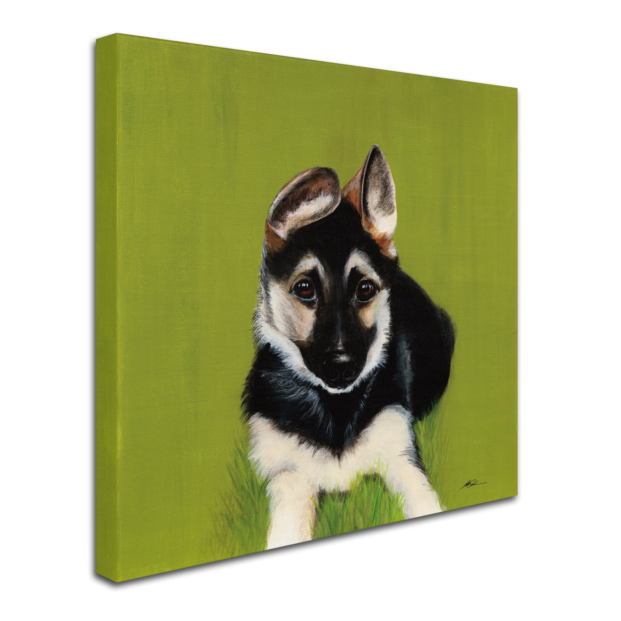 Trademark Fine Art 'Bonelli' Canvas Art by Patsy Ducklow