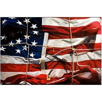 Trademark Art "American Wrap" Canvas Wall Art by Roderick Stevens