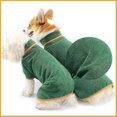 thumbnail image 3 of Albornoz ZHAOCHENG para perros toalla suave súper absorbente secado humedad pijamas nuevo verde L, 3 of 5