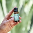 thumbnail image 2 of Edens Garden Eucalyptus Around The World Essential Oil- 100% Pure Premium Grade, Undiluted, Natural, Therapeutic, Aromatherapy, The Best for Diffuser, Candle, Laundry, Humidifiers 10 ml (.33 fl oz), 2 of 9