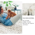 thumbnail image 4 of Vintage Area Rug x Washable Living Room Rug Indoor Print Accent Rugs for Bedroom Distressed Thin Throw Rugs Carpet for Living Room Kitchen Entryway, 4 of 7