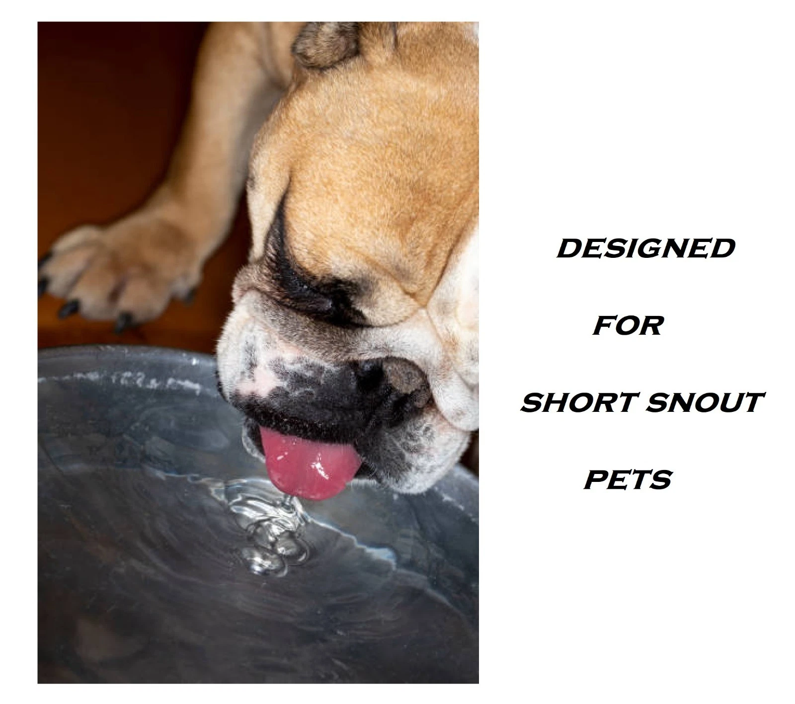 25 Shallow Steel Dish Bulk Packs Dog Food Water Puppy Kitten Bowls Short Snout (12 Ounces)