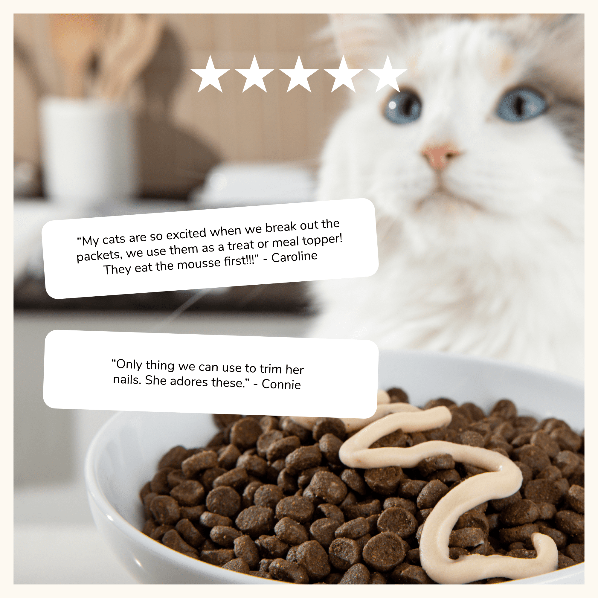 (4 pack) Made by Nacho Lickable Cat Treats, Mousse Tubes with Bone Broth Variety Pack, Chicken, Tuna, Salmon and Tuna, No Grains, Corn, Wheat or Soy, 12 Count, 0.5oz Each