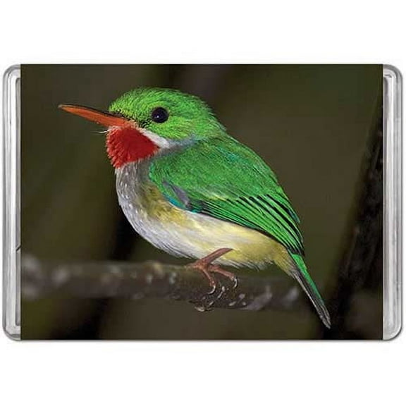 Puerto Rican Tody, a 140-piece Puzzle by Pigment & Hue