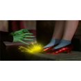 thumbnail image 1 of Wizard Of Oz Ruby Slippers Photo License Plate, 1 of 1