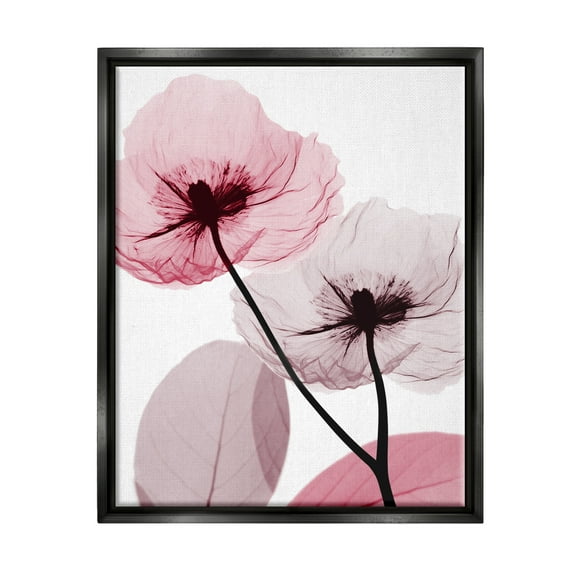 Stupell Industries Pink Poppy Flowers Botanical & Floral Painting Black Floater Framed Art Print Wall Art, 17 x 21
