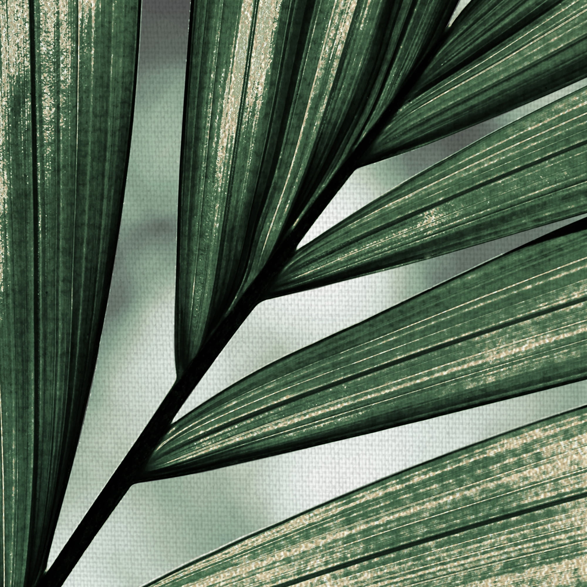 Masterpiece Art Gallery Palm Frond By Belle Maison Canvas Art Print 22" x 28"