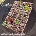 thumbnail image 2 of Mini Nursery Pot, Flower Pots Square, Plastic Plant Pot, Plastic Starter Pots with Saucer (10Pcs,Purple), 2 of 5