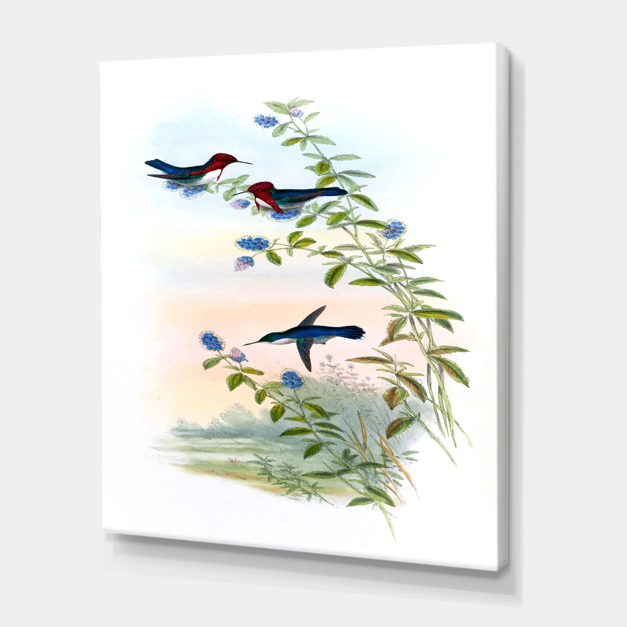 Designart ' Ancient Hummingbird II ' Traditional Canvas Wall Art Print
