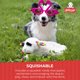 thumbnail image 4 of Peluche para Perro Multipet Lamb Chop 27 cm con Sombrero Azul y Sonajero, 4 of 8