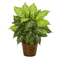 Nearly Natural 19in. Dieffenbachia Artificial Plant in Basket