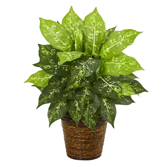 Nearly Natural 19in. Dieffenbachia Artificial Plant in Basket