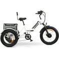 thumbnail image 1 of Three Wheel Electric Bikes, Electric Trike for Adults, Tricycle E-Bike with LCD Display, Li-ion Battery, 3 Wheel Motorized Bicycle, 750W Powerful Motor, Forza, & Forte, 1 of 5