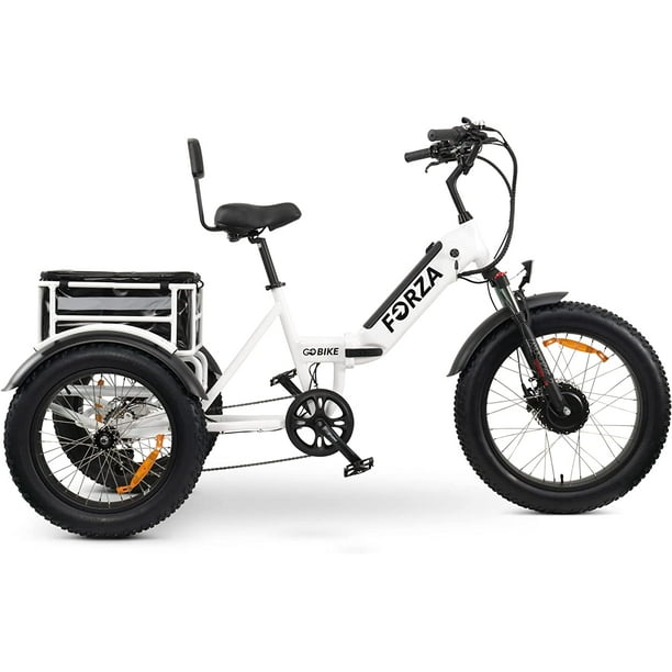 Vélos électriques à trois roues, tricycle électrique pour adultes, tricycle  électrique avec écran LCD, batterie Li-ion, vélo motorisé à 3 roues, moteur  puissant de 750 W, Forza et Forte 