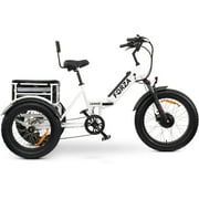 Three Wheel Electric Bikes, Electric Trike for Adults, Tricycle E-Bike with LCD Display, Li-ion Battery, 3 Wheel Motorized Bicycle, 750W Powerful Motor, Forza, & Forte