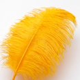 thumbnail image 2 of Plumas de Avestruz Doradas Ballinger 12 piezas 35-40 cm Grandes, 2 of 9