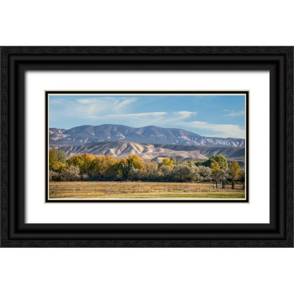 Murdock, Ramona 14x9 Black Ornate Wood Framed with Double Matting Museum Art Print Titled - Velvet Hills II