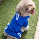 thumbnail image 3 of Pants Para Mascotas Razas Grandes, 3 of 5