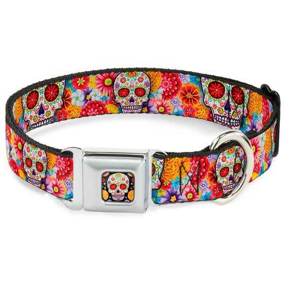 Thaneeya McArdle Pet Collar, Dog Collar Metal Seatbelt Buckle, Sugar Skull Starburst White Multi Color, 15 to 24 Inches 1.0 Inch Wide