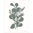 thumbnail image 2 of Great Art Now Watercolor Greenery Series by Bluebird Barn, Framed Wall Art, 19.5W x 25H, 2 of 3