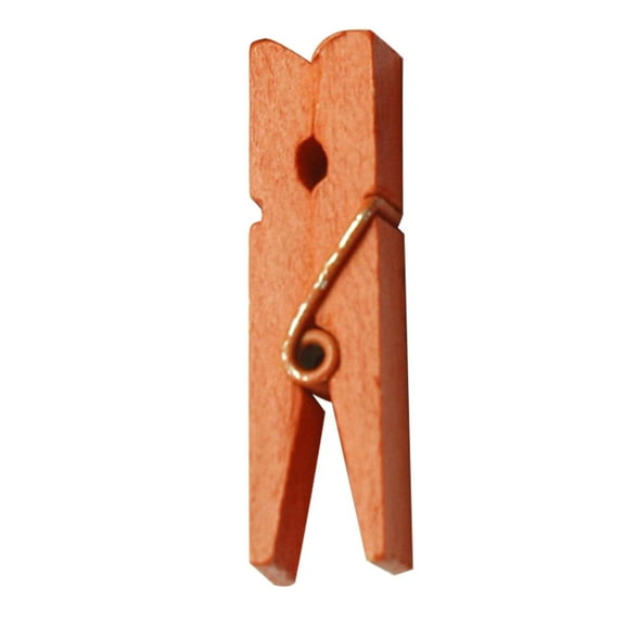 Dengmore Discoumt 100 Pack Sturdy 1.4 Inch Mini Wooden Clothespins for Scrapbooking s Brown