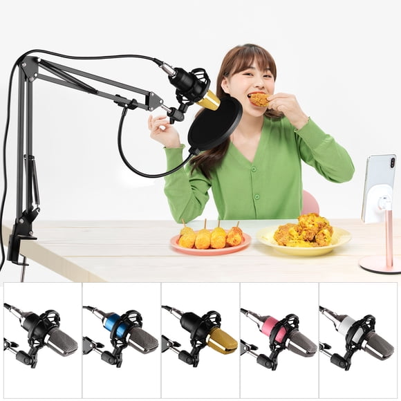 FlyFlise Professional Broadcasting Studio Recording Condenser Microphone Kit with External Sound Card + Mic Windscreen
