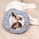 thumbnail image 3 of Collar de recuperación de gato de dibujos animados lindo cono de gato para curar heridas de gato, 3 of 5