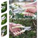 thumbnail image 5 of Garden Pruning Shears Set - 2 Pack, 1 Bypass Pruner+1 Straight Blade Scissors, Sharp Garden Shears for Cutting Flowers, Trimming Plants, Bonsai, Fruit, 5 of 5