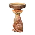 thumbnail image 3 of Bird Bath,Standing Bird Feeder,Resin Bird Feeders On A Pedestal, Bird Bath Bowl For Garden, Brown Pedestal Handmade,Bird Bath For Outdoors, Standing Resin Bird Feeders(G), 3 of 9
