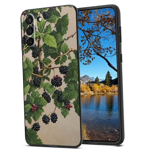 Old-Botanical-Blackberries-Painting-Hard-s-Fine-Art-5-3 Phone Case, Degined for Samsung Galaxy S21+ Plus Case Men Women, Flexible Silicone Shockproof Case for Samsung Galaxy S21+ Plus