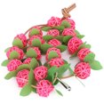 thumbnail image 4 of Pet Parrots Biting Toy Rattan Ball String with Leaves Bird Swing Chewing Toy Cage DecorationPink Ball S, 4 of 9