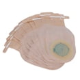thumbnail image 1 of 10 Bolsas de Colostomía Desechables, Bolsas Drenables, Bolsa de Ostomía, Suministros de Ostomía, Bolsa de Ileostomía para Ostomía, para el Cuidado del Estoma de Ileostomía Saludable Octpeak NO, 1 of 4