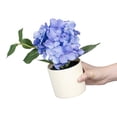 thumbnail image 2 of Mainstays 8" Artificial Blue Hydrangea in Cream Pot, for Indoor Use, 2 of 8