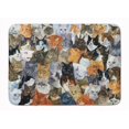 thumbnail image 1 of Carolines Treasures BDBA0414RUG Cats Galore Machine Washable Memory Foam Mat, 1 of 4