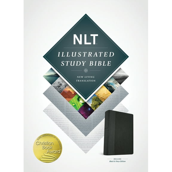 Illustrated Study Bible-NLT (Other)