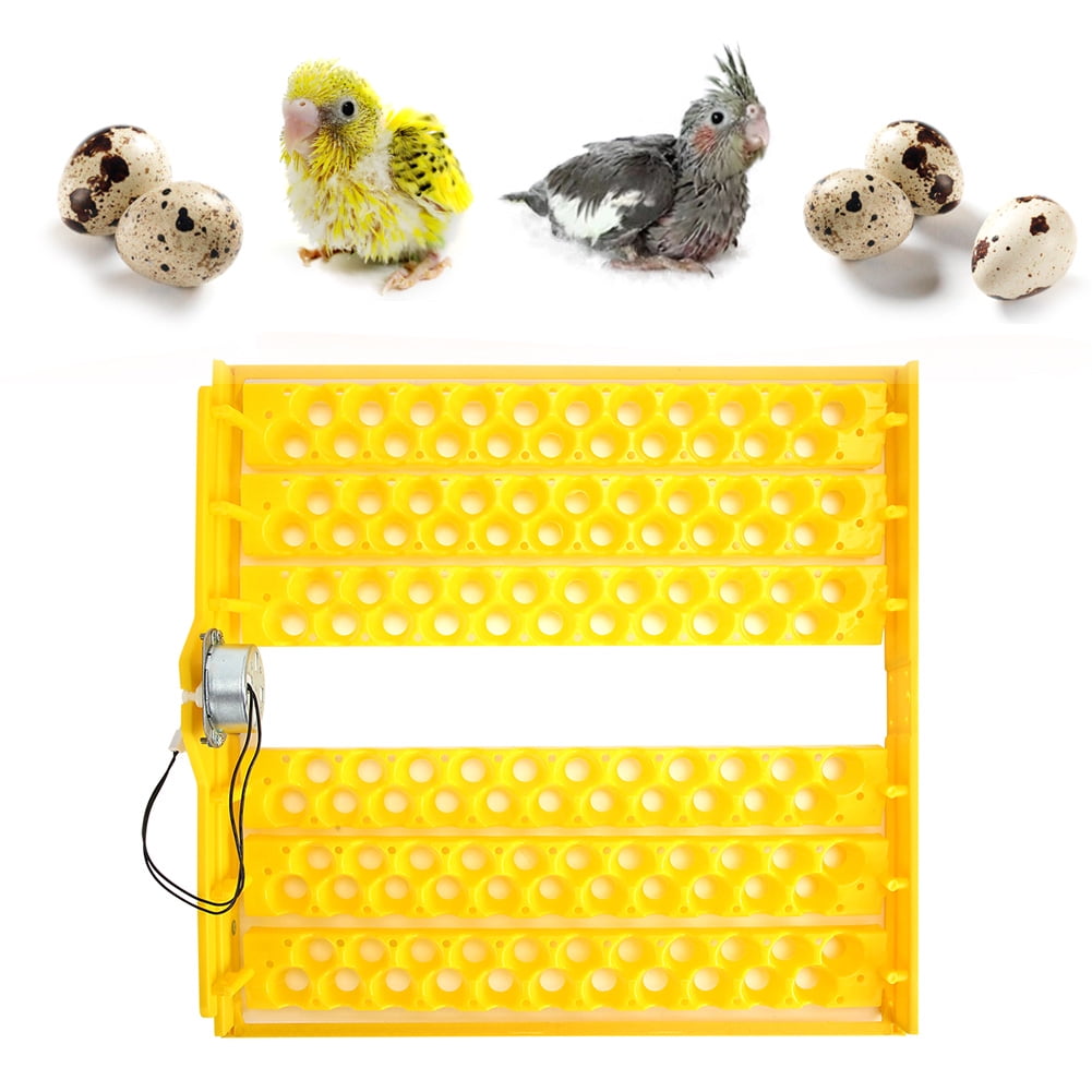 Egg Incubator Trays Egg Incubator Tray, Egg Turning Tray, Lightweight