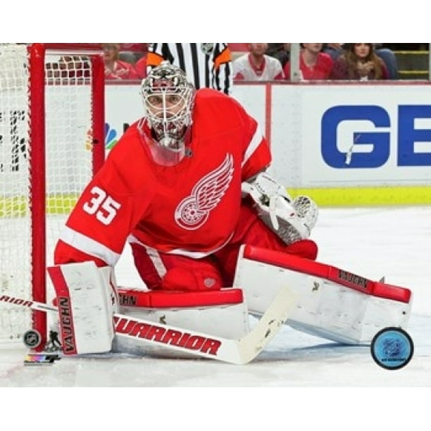 Jimmy Howard 201516 Action Photo Print (11 x 14)
