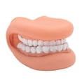 thumbnail image 2 of Teeth Care Model, Mouth Hand Puppet Silicone with Tongue for Kids Teaching, 2 of 7