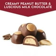 thumbnail image 4 of Fannie May, Milk Chocolate Candy, Peanut Butter Buckeyes, 4.5 oz Bag, 4 of 14