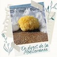 thumbnail image 4 of Esponja natural, esponja de baño muy suave de Grecia, para mayor espuma, hipoalergénica, esponja de ducha de calidad, esponja lavable, flor de ducha, 9 cm (lavado de cara pequeño) JM JM Rojo Verde, 4 of 5