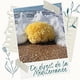 thumbnail image 4 of Esponja natural, esponja de baño muy suave de Grecia, para más espuma, hipoalergénica, esponja de ducha de calidad, esponja lavable, flor de ducha, 10cm (bañera para bebé), 4 of 5